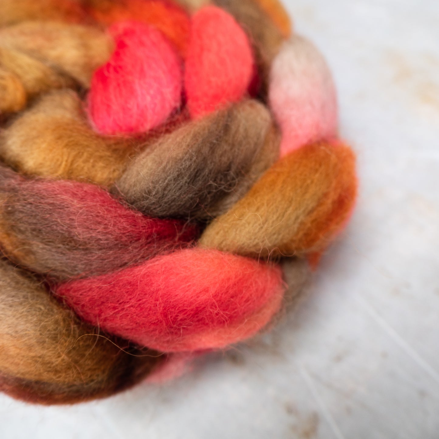 Zebra Finch - Exmoor Blueface/BFL/Wensleydale