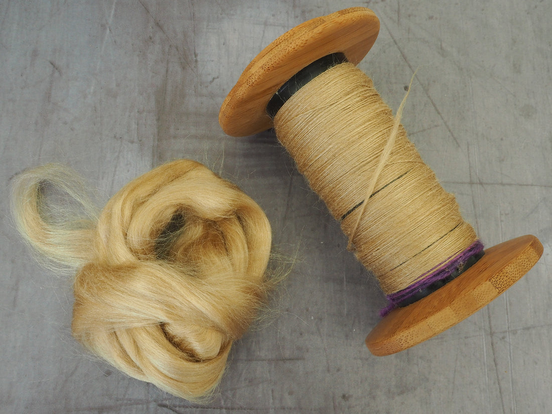 A bobbin with handspun golden-coloured silk, next to piece of silk fibre