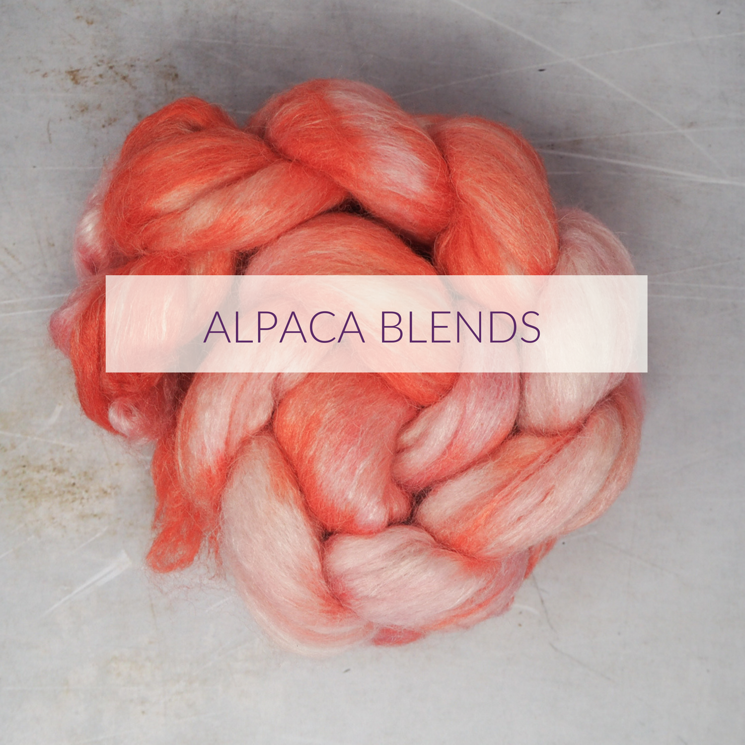 Alpaca