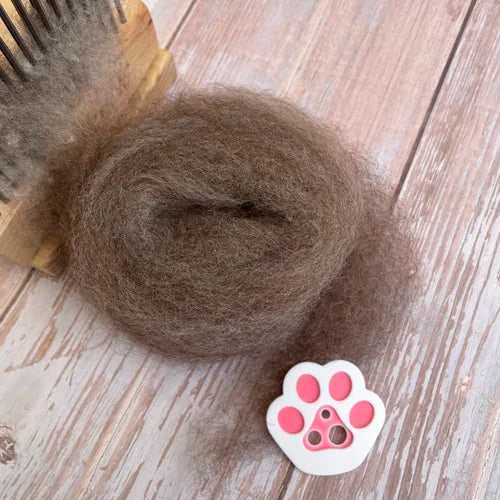 Cat&