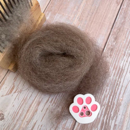 Cat&