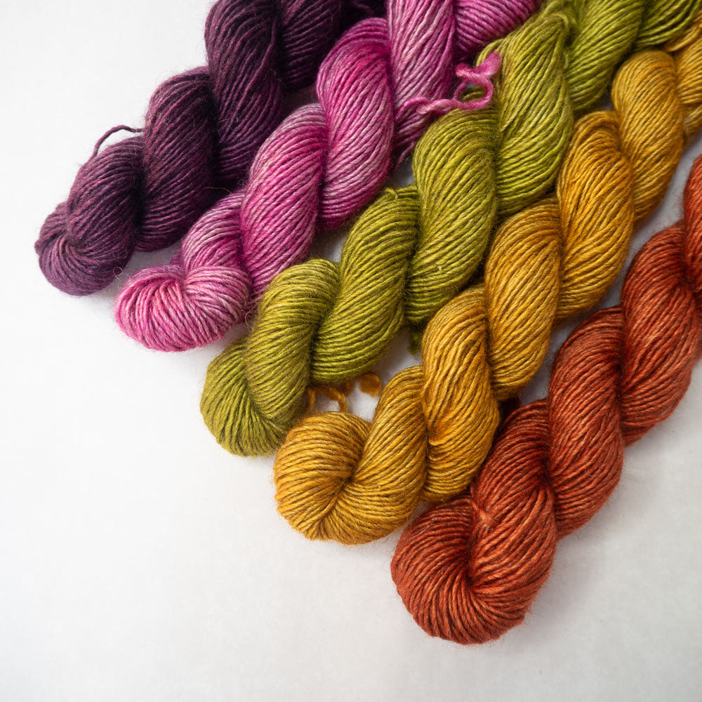 Yakkety-Yak 4ply Mini-skein sets